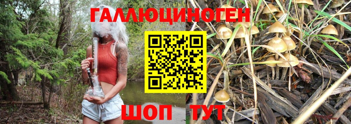 Галлюциногенные грибы MAGIC MUSHROOMS Кингисепп