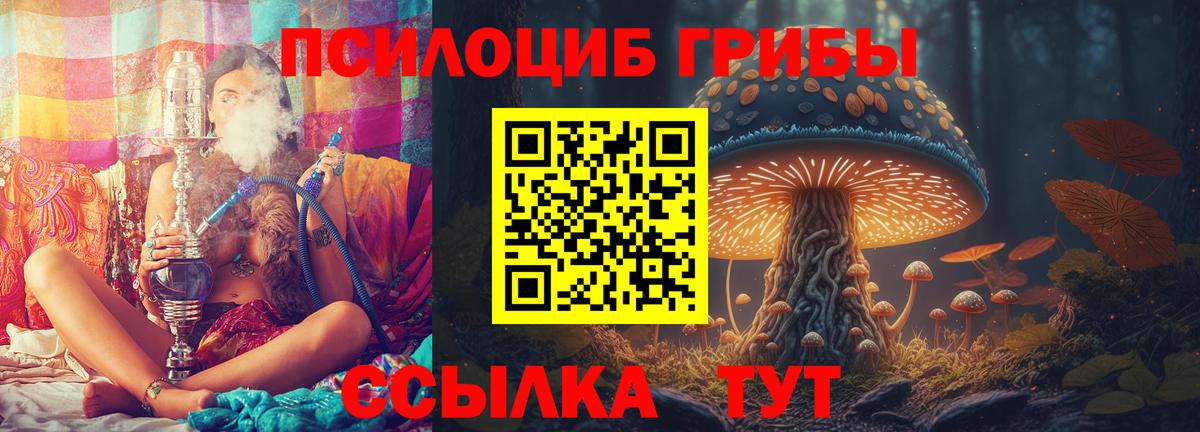 Галлюциногенные грибы Magic Shrooms  Вход с VPN  Кингисепп 