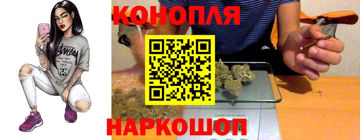 Бошки Шишки планчик Кингисепп